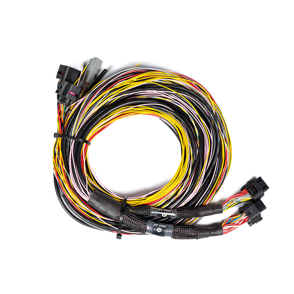 Chicote FT700 C e D - 3 metros