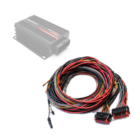 Chicote FTSPARK EXTREME